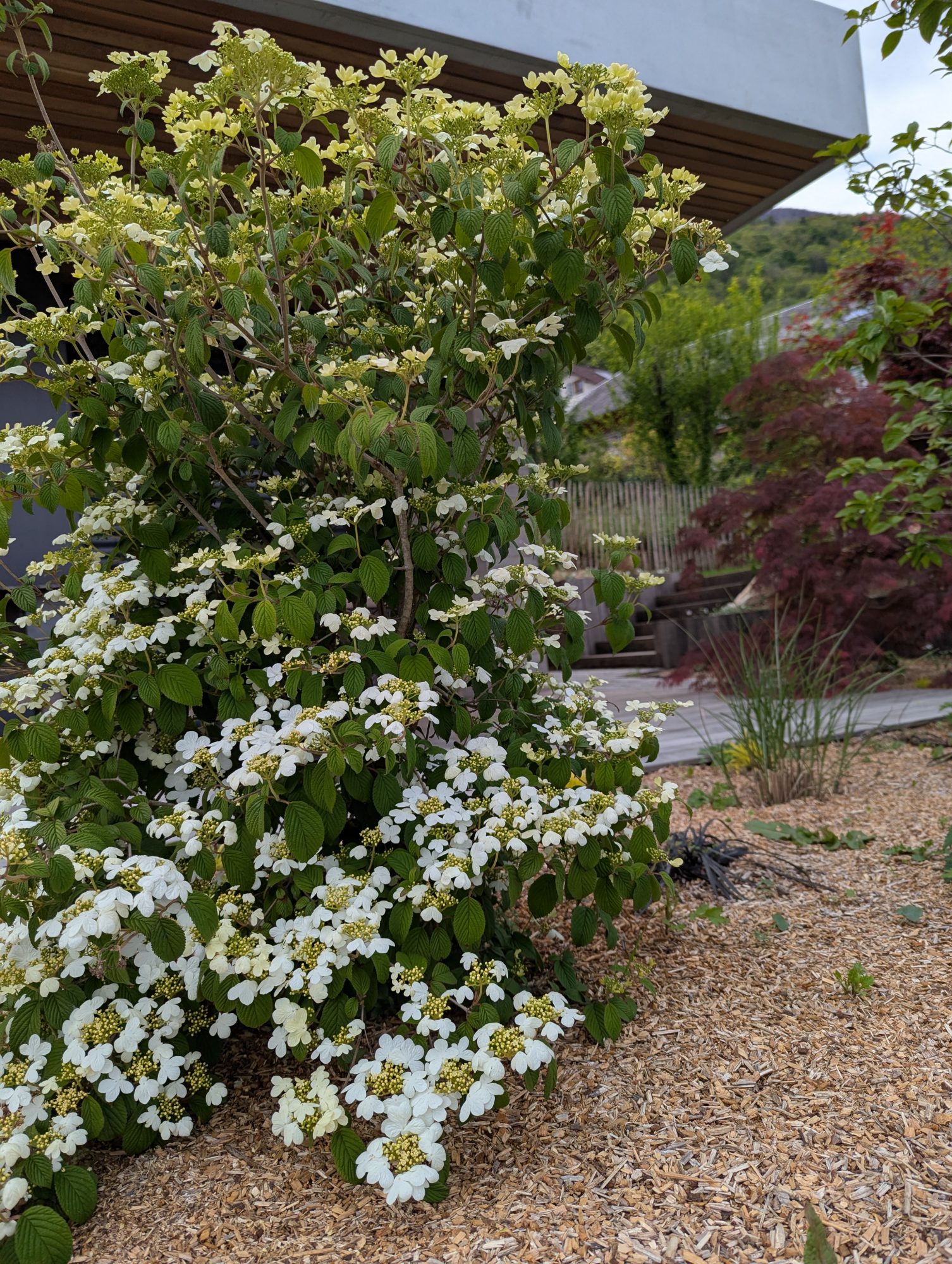 PXL 20250424 135152002