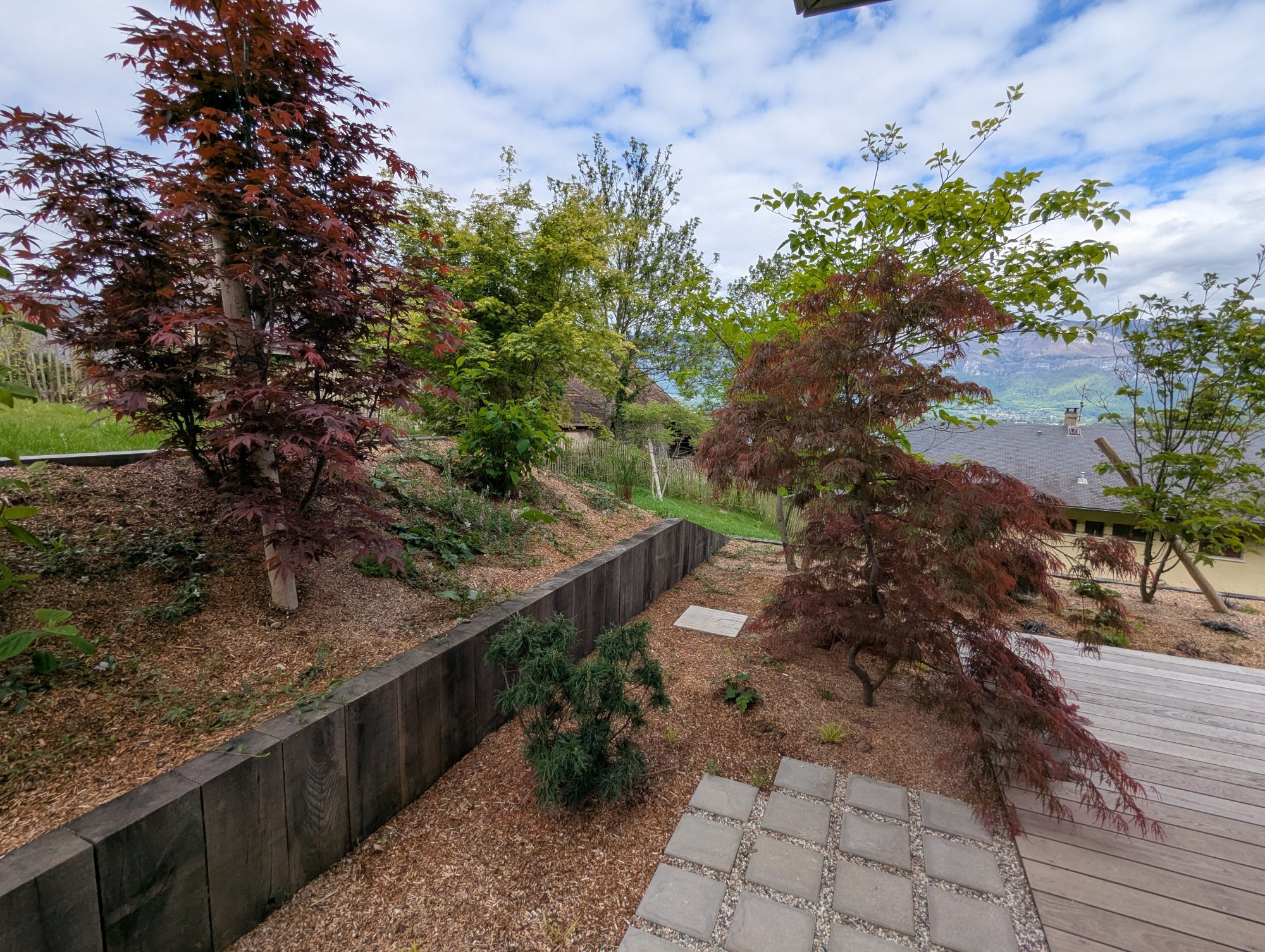 PXL 20250424 135320200