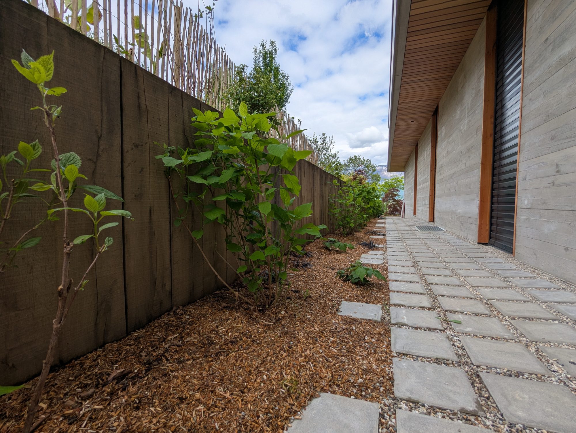 PXL 20250424 135346461