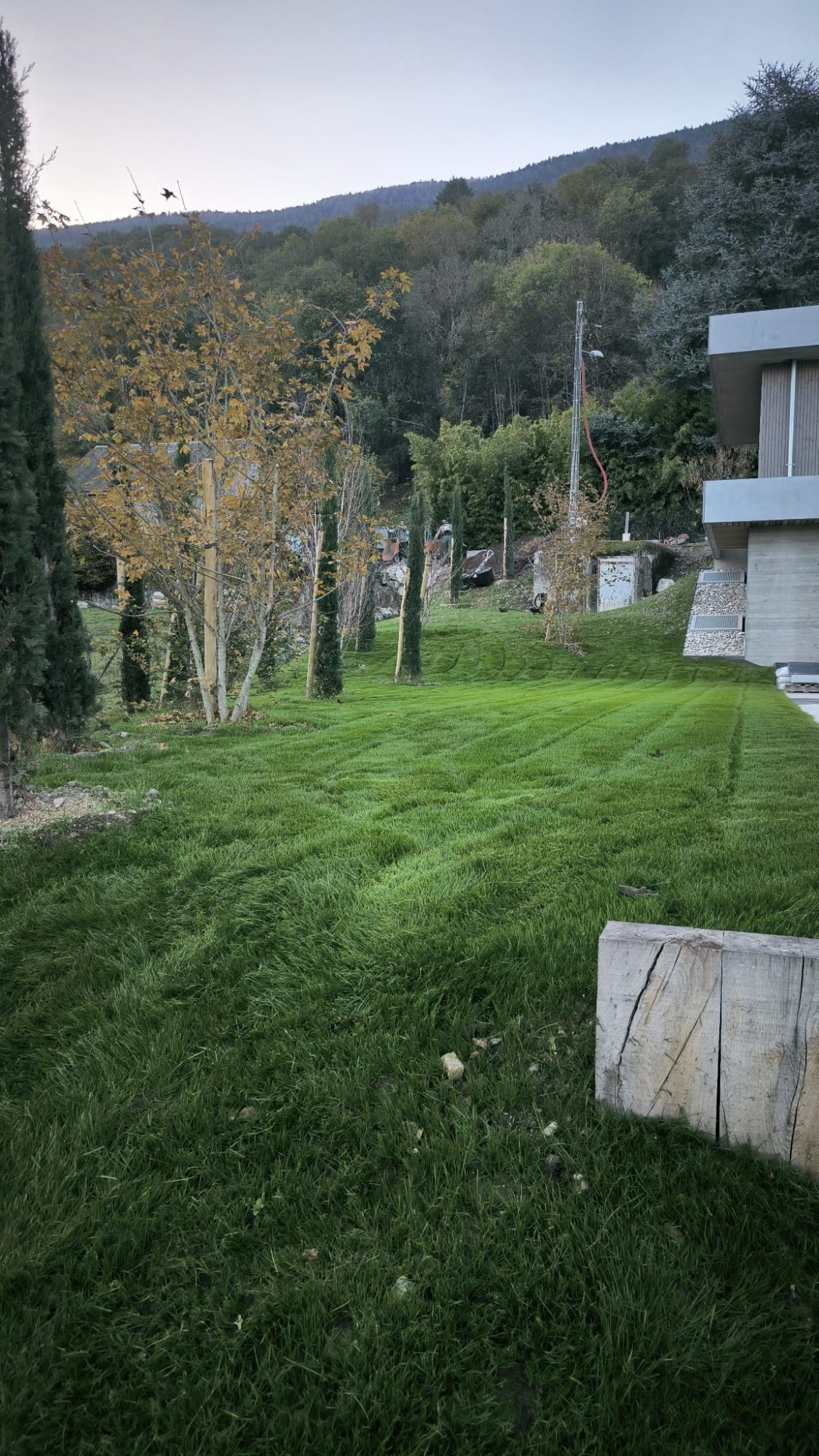 Actu Patriache Gazon Plantations