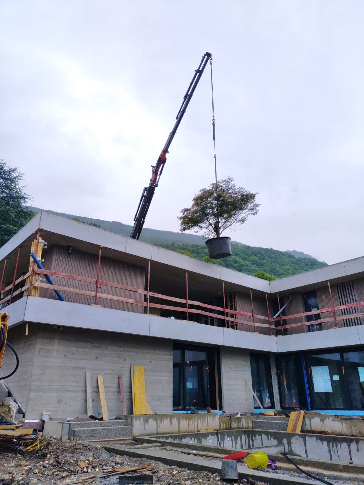 Actu Patriarche Plantation