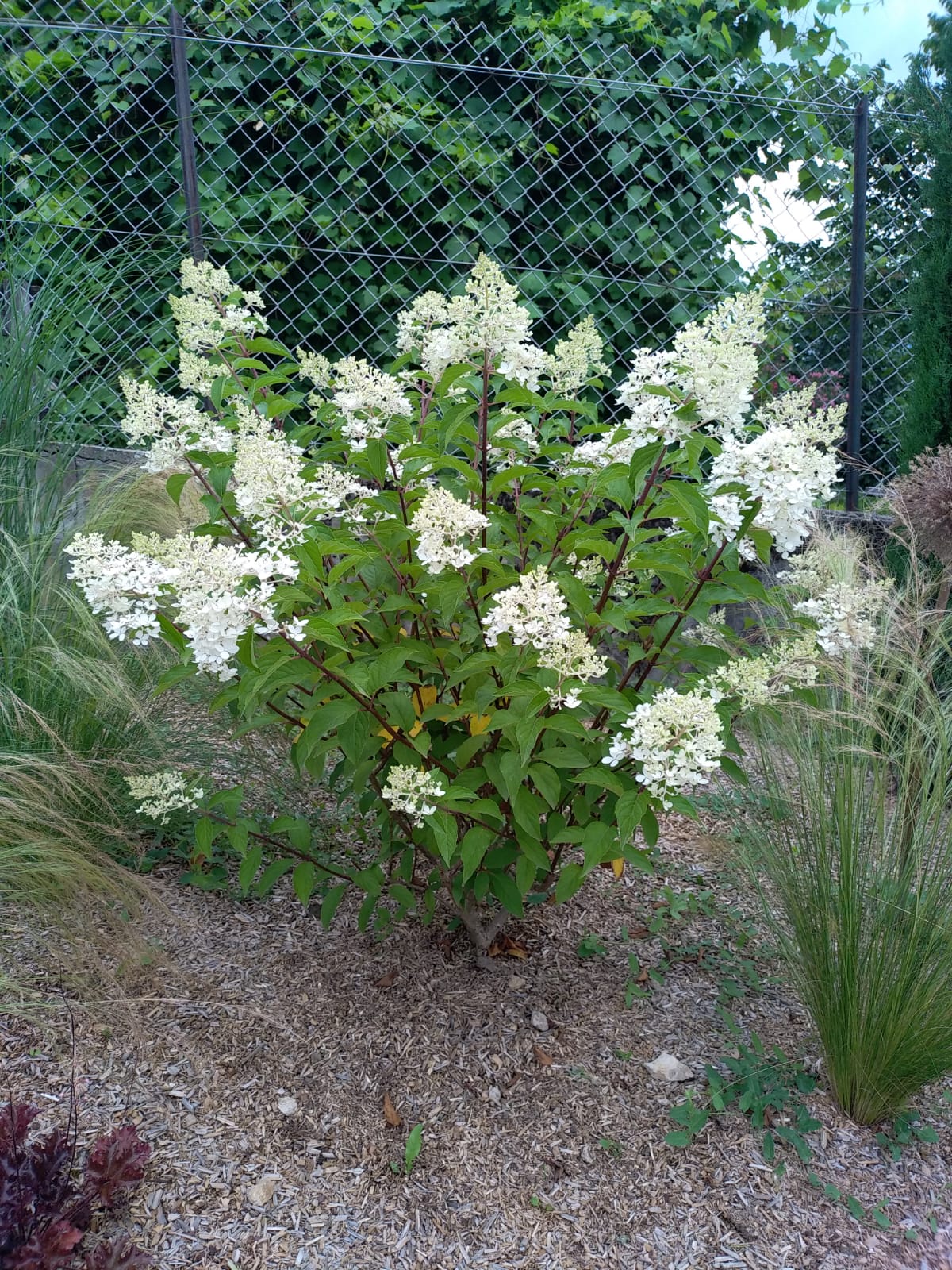 Végétalisation Jardin Savoie