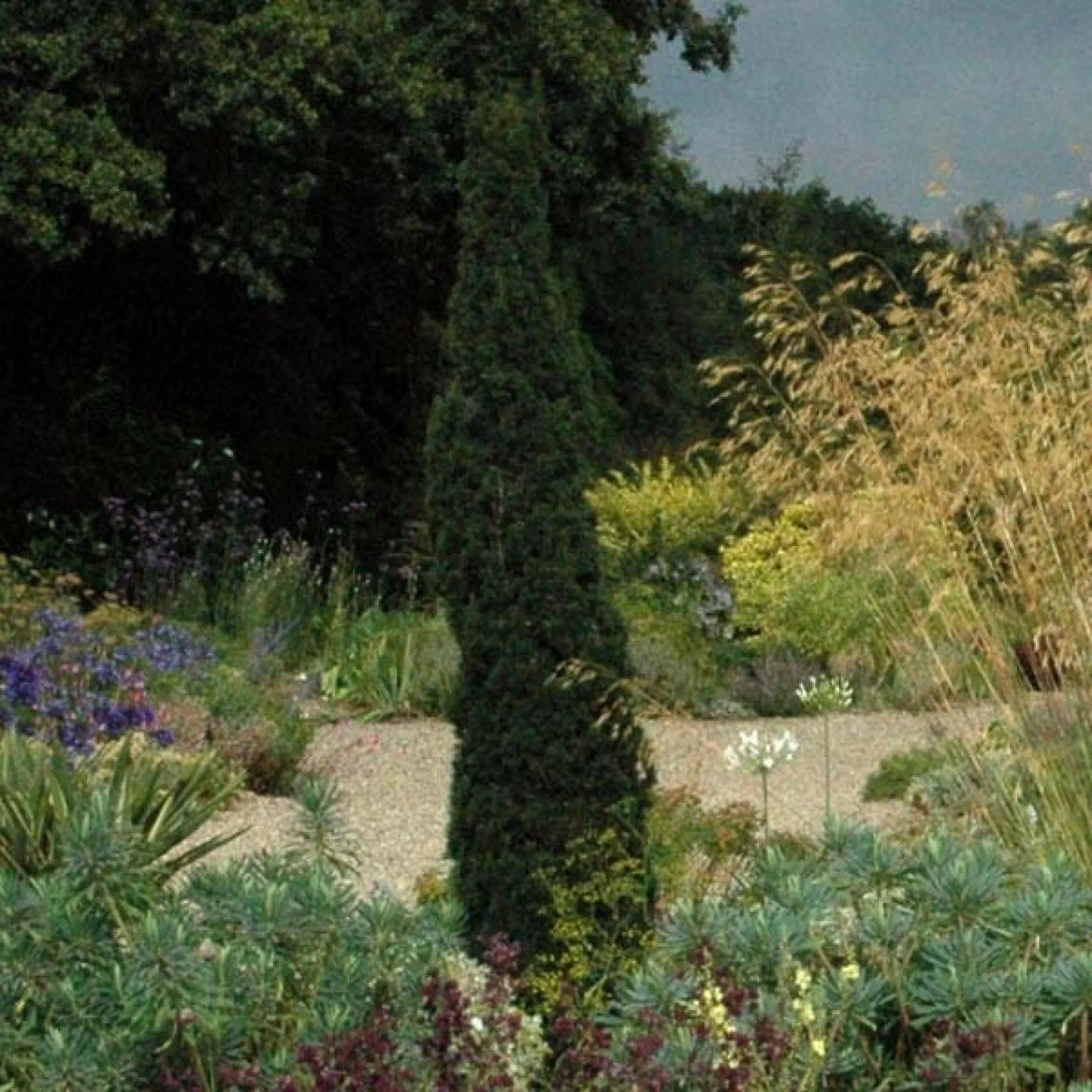 Cypres Ditalie Totem 7620 1