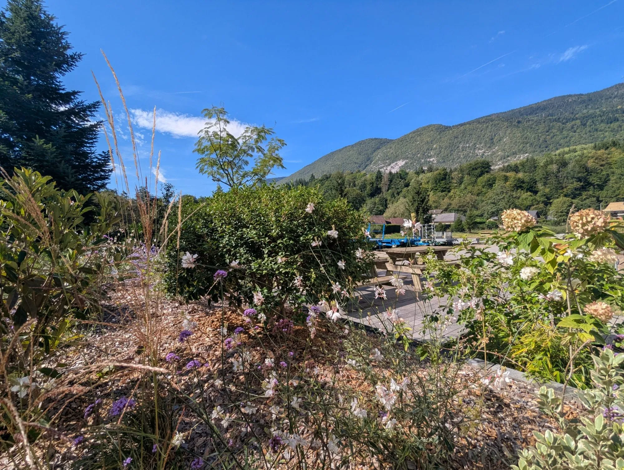 Image for Une vitrine végétale au sein de notre enteprise à St-Thibaud-de-Couz