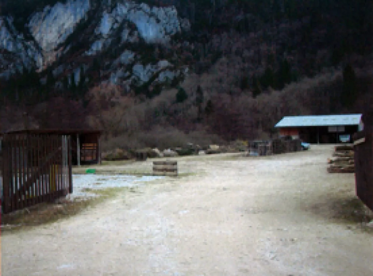 2004